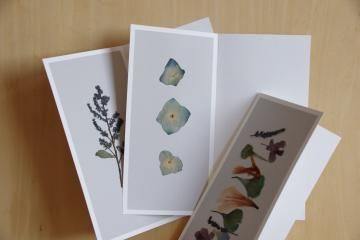 postal flower / petal