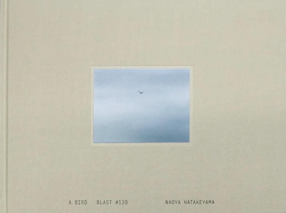 Naoya Hatakeyama 畠山直哉 A BIRD BLAST #130 A BIRD Blast #130 / NAOYA HATAKEYAMA 畠山直哉 - books used and new