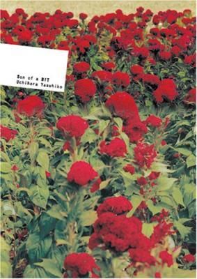 内原恭彦 / Son of a BIT