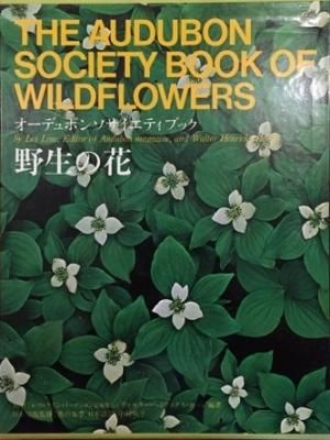 ¥ª¡¼¥Ç¥å¥Ü¥ó¥½¥µ¥¨¥Æ¥£¥Ö¥Ã¥¯¡¡ÌîÀ¸¤Î²Ö