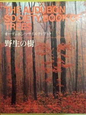 ¥ª¡¼¥Ç¥å¥Ü¥ó¥½¥µ¥¨¥Æ¥£¥Ö¥Ã¥¯¡¡ÌîÀ¸¤Î¼ù