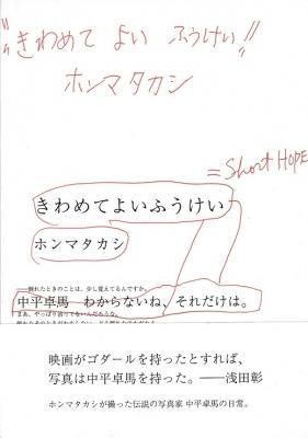 ホンマタカシ / きわめてよいふうけい