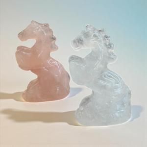 ŷ Ϥʪʿ徽ġ˴١ɱ