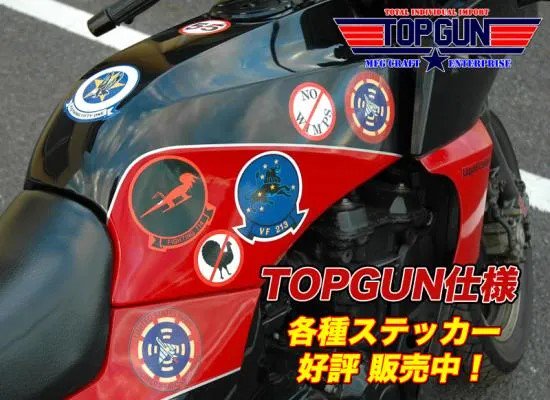 TOPGUN仕様 GPZ Ninja用ステッカー 19枚セット (艶あり