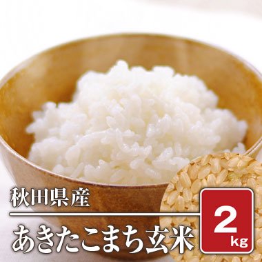 秋田県産 あきたこまち(令和5年) 2kg【玄米】 - 米 通販｜もっちもちで