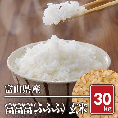 富山県産　プレミアムブランド米 富富富（ふふふ）（令和5年）30kg【玄米】 - 米 通販｜もっちもちで美味しい お米 販売｜米蔵やごう