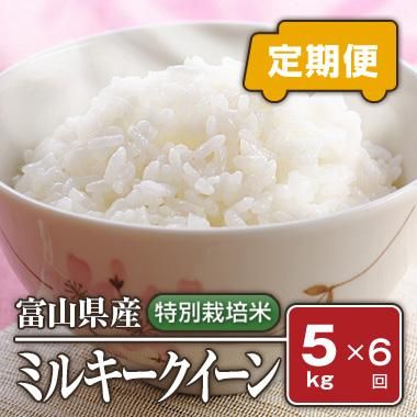 ☆農家直売・特別栽培米ミルキークイーン白米２４ｋｇ - 米/穀物