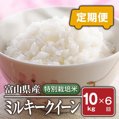 特別栽培米　ミルキークィーン　白米　10kg