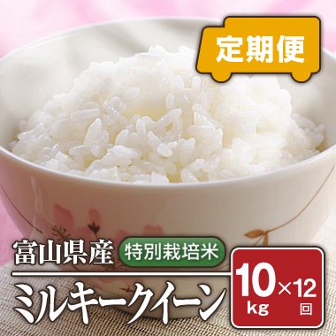 送料無料富山県産 特別栽培米 ミルキークィーン令和×回