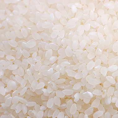富山県産　特別栽培米コシヒカリ(令和3年) 5kg【白米】［通販商品］ - 米 通販｜もっちもちで美味しい お米 販売｜米蔵やごう
