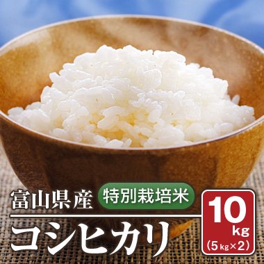 【送料無料】富山県産　特別栽培米コシヒカリ(令和4年) 10kg（5kg×2）【白米】［通販商品］ - 米 通販｜もっちもちで美味しい お米  販売｜米蔵やごう