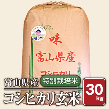 【送料無料】富山県産 特別栽培米コシヒカリ(令和5年) 30kg【玄米