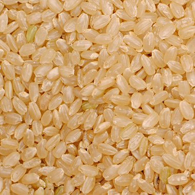 【送料無料】富山県産　特別栽培米コシヒカリ(令和5年) 30kg【玄米】［通販商品］ - 米 通販｜もっちもちで美味しい お米 販売｜米蔵やごう