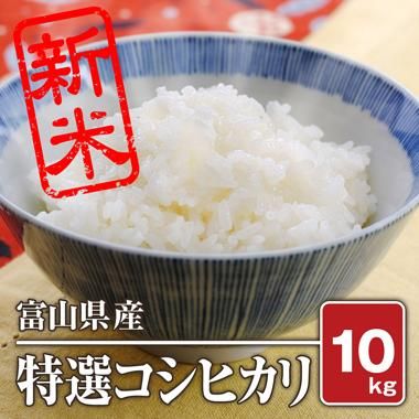 富山県入善産 特選コシヒカリ(令和5年) 10kg【白米】 - 米 通販｜もっちもちで美味しい お米 販売｜米蔵やごう