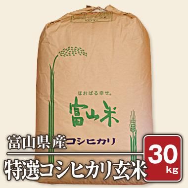 送料無料】富山県入善産 特選コシヒカリ(令和5年) 30kg【玄米】 - 米