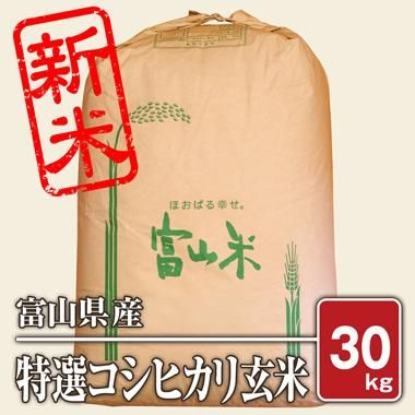 送料無料】富山県入善産 特選コシヒカリ(令和5年) 30kg【玄米】 - 米