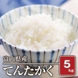 富山県産 てんたかく(令和五年) 10kg【白米】 - 米 通販｜もっち