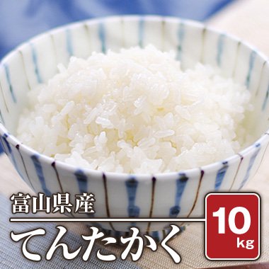 富山県産 てんたかく 令和二年 10kg 白米 米 通販 もっちもちで美味しい お米 販売 米蔵やごう