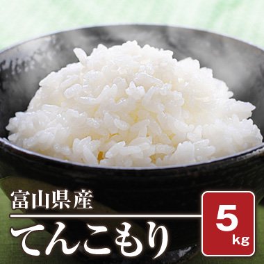 富山県産 てんこもり(令和5年) 5kg【白米】 - 米 通販｜もっちもちで美味しい お米 販売｜米蔵やごう