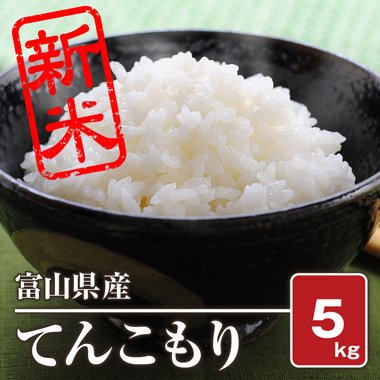 日本激安 てんこもり【玄米】【30㎏】 - 食品