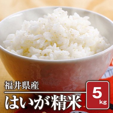 福井県産 はいが精米(胚芽米)(令和5年産) 5kg - 米 通販｜もっちもちで