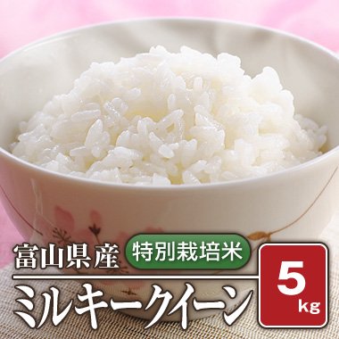 富山県産 特別栽培米 ミルキークィーン(令和4年) 5kg【白米】［通販商品］ - 米 通販｜もっちもちで美味しい お米 販売｜米蔵やごう