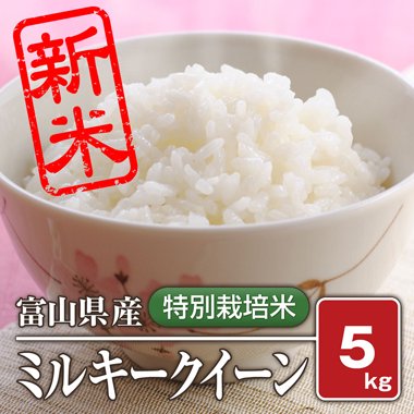 富山県産 特別栽培米 ミルキークィーン(令和4年) 5kg【白米】［通販商品］ - 米 通販｜もっちもちで美味しい お米 販売｜米蔵やごう