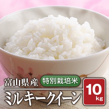 【送料無料】富山県産 特別栽培米 ミルキークィーン(令和3年) 10kg【白米】［通販商品］ - 米 通販｜もっちもちで美味しい お米 販売｜米蔵やごう