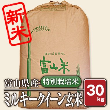 送料無料】富山県産 特別栽培米 ミルキークィーン(令和4年) 30kg【玄米