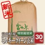 ミルキークィーン - 米 通販|もっちもちで美味しい お米 販売 ミルキークィーン - 米 通販|もっちもちで美味しい お米 販売