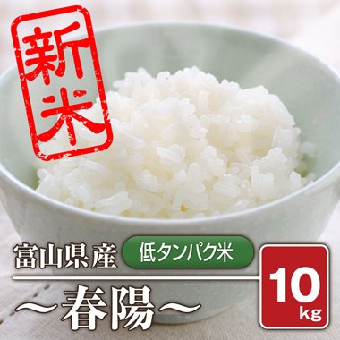 【送料無料】富山県産 「低タンパク米」 春陽(令和5年産) 10kg【白米】［通販商品］ - 米 通販｜もっちもちで美味しい お米 販売｜米蔵やごう