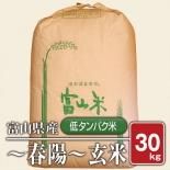 春陽 低タンパク米|米通販「米蔵やごう」 春陽 低タンパク米|米通販「米蔵やごう」