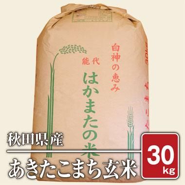 秋田県産 2019年産 あきたこまち 30kg 玄米 - 米/穀物