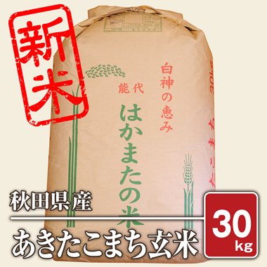 【送料無料】秋田県産 あきたこまち(令和4年) 30kg【玄米】 - 米