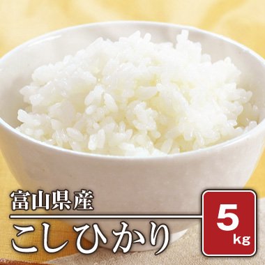 富山県産 こしひかり(令和5年) 5kg【白米】［通販商品］ - 米 通販