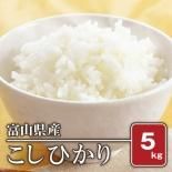 富山県産 特別栽培米コシヒカリ(令和5年) 2kg【白米】［通販商品