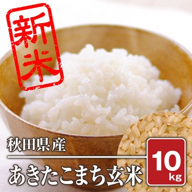 秋田県産 あきたこまち(令和5年) 10kg【玄米】 - 米 通販｜もっちもち