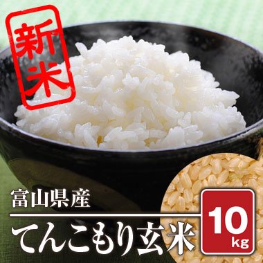 富山県産 てんこもり(令和5年) 10kg【玄米】 - 米 通販｜もっちもちで美味しい お米 販売｜米蔵やごう