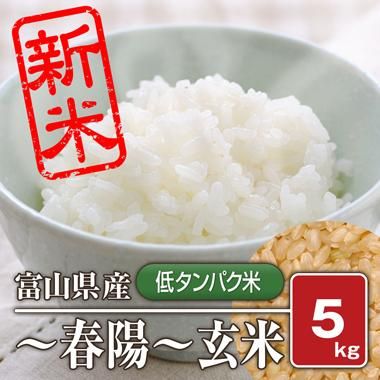 新米パパ様☆専用 酒田米菓／PARIPARI×SAKUSAKU4袋ギフト