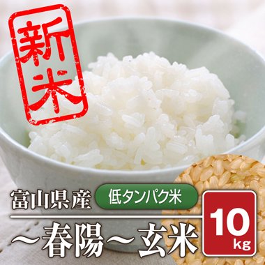 送料無料】富山県産 「低タンパク米」 春陽(令和5年産) 10kg【玄米】［通販商品］ - 米 通販｜もっちもちで美味しい お米 販売｜米蔵やごう