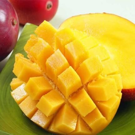 タイムサービス16000結実歴有❗️11 ヤマシタマンゴー　耐寒性　特選フルーツ タイムサービス16000結実歴有❗️11 ヤマシタマンゴー 耐寒性