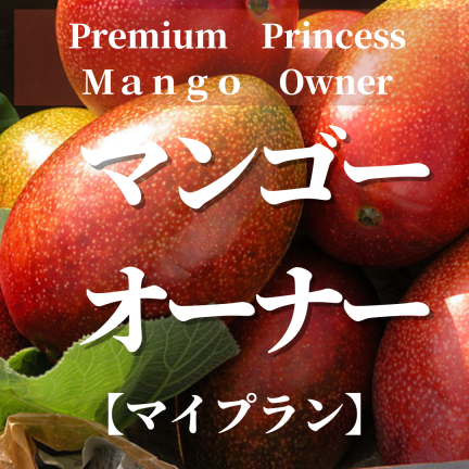 鉢植えマンゴーオーナー制　　【マイプラン】