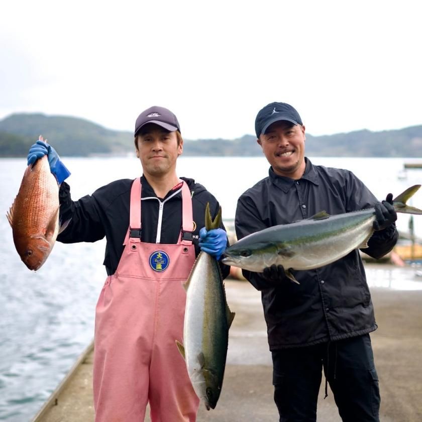 全国送料込】平戸なつ香ブリ約1kg（半身） - ＜公式＞堀内フルーツ