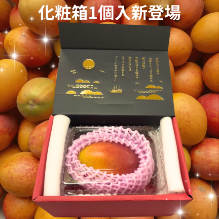 <img class='new_mark_img1' src='https://img.shop-pro.jp/img/new/icons15.gif' style='border:none;display:inline;margin:0px;padding:0px;width:auto;' />ڿȯ<br>7ܤ缡ȯȭϥץ󥻥ޥ󥴡<br>L1̲Ȣ
