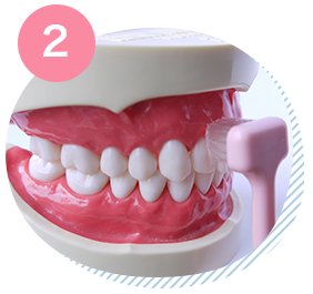 T字型歯ブラシの磨き方順序2