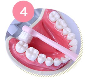 T字型歯ブラシの磨き方順序4