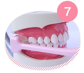 T字型歯ブラシの磨き方順序7