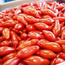 <img class='new_mark_img1' src='https://img.shop-pro.jp/img/new/icons62.gif' style='border:none;display:inline;margin:0px;padding:0px;width:auto;' />ڹ̾ʪ۲ 1kg(100-120γ)䤵󤬰첡ξʲ