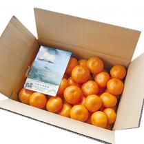 <img class='new_mark_img1' src='https://img.shop-pro.jp/img/new/icons62.gif' style='border:none;display:inline;margin:0px;padding:0px;width:auto;' />ڹ̾ʪܤλ̤ߤ £3kgȢùΥ֥ɴ̡ä롦£եȡ

ξʲ