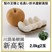 【予約受付中！】川淵果樹園の新高梨 2.2kg(2玉)【蜜のような甘さと芳醇な香り】の商品画像